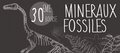 30e bourse aux mineraux et fossiles Nîmes janvier 2015