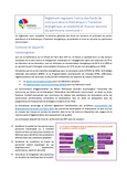 Règlement thématique Transition énergétique, accessibilité et mise en sécurité du patrimoine communal