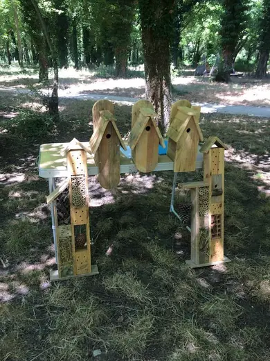 Agrandir l'image 3