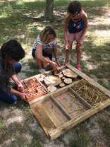 2021 : Construction collective d’un grand abri à insectes pour le Bois des Noyers