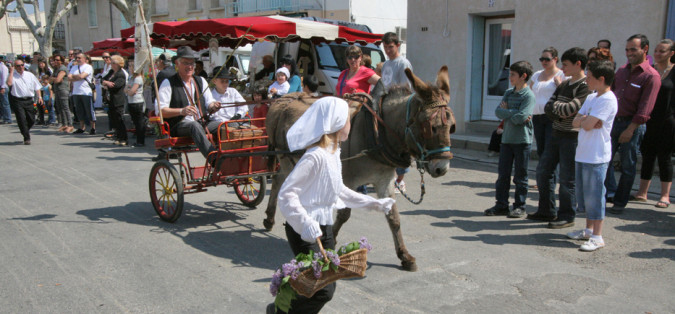 fete de la souche 201038_2