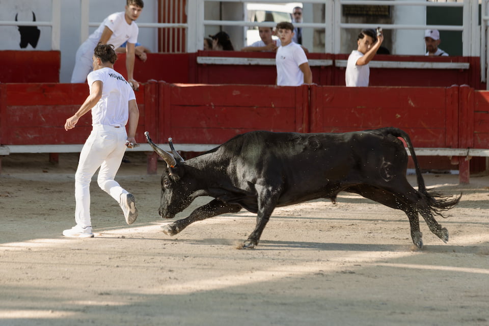 Agrandir l'image 1
