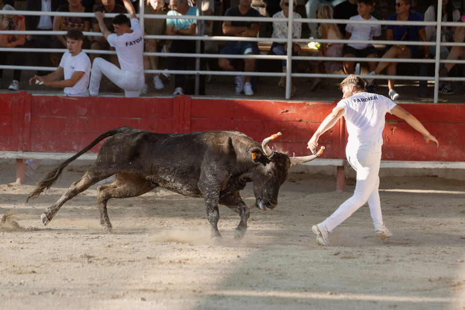 Agrandir l'image 4