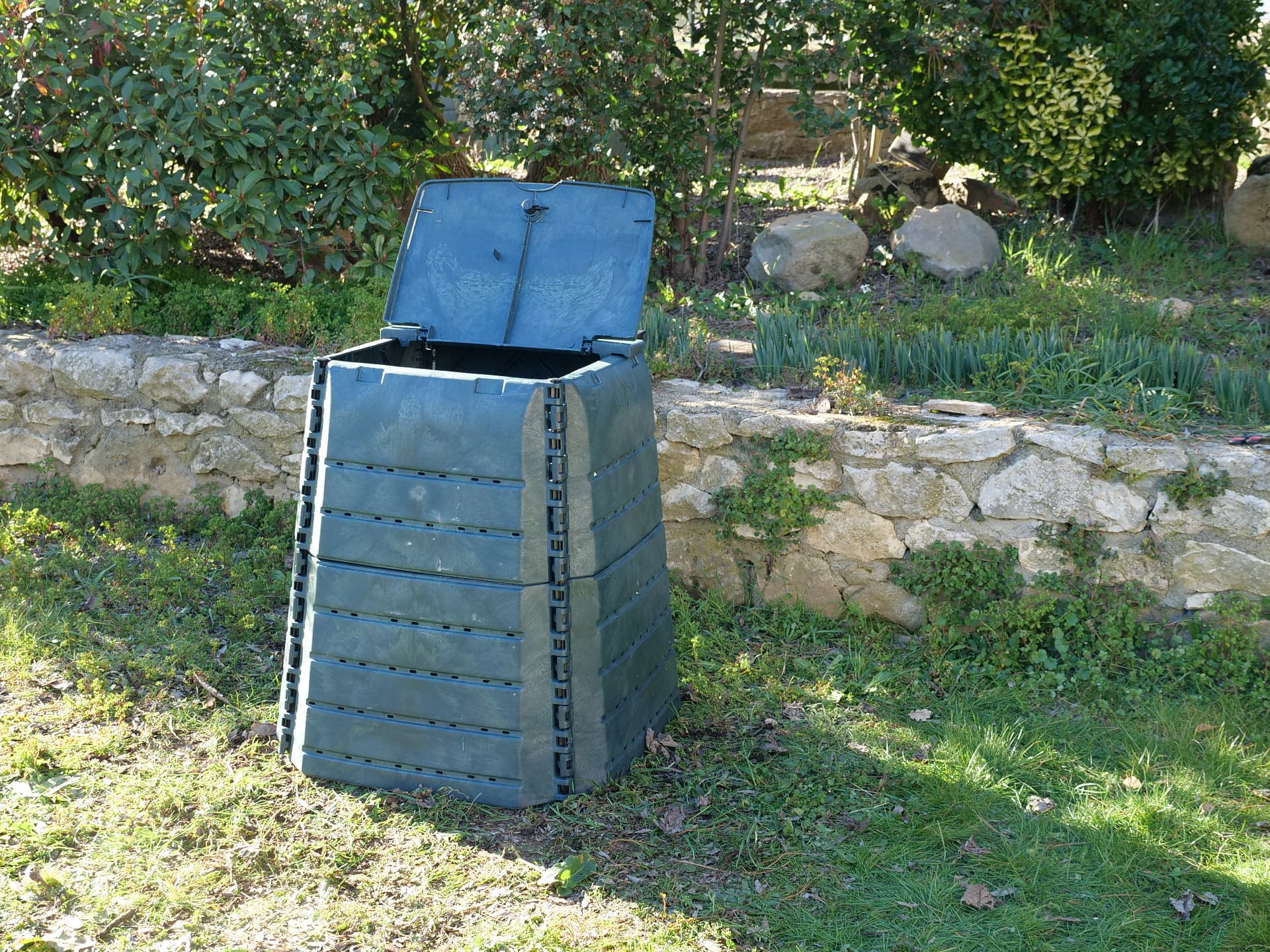 Agrandir l'image 1
