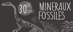 30e bourse aux mineraux et fossiles Nîmes janvier 2015